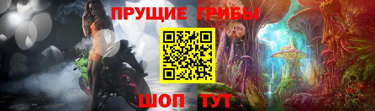 Псилоцибиновые грибы Cubensis  Галлюциногенные грибы мицелий  Чехов  Вход с VPN 
