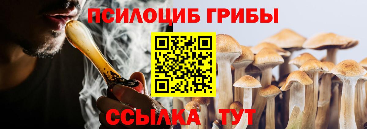 Псилоцибиновые грибы Psilocybe Чехов